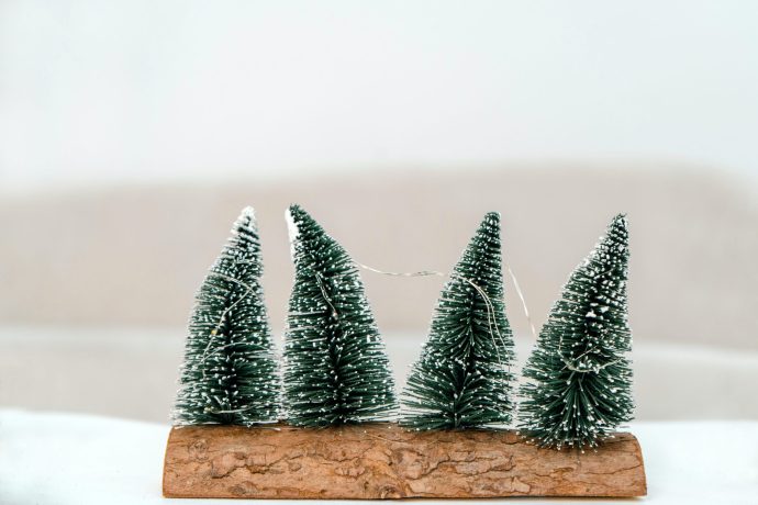 Kalėdinių renginių savaitė Vilniaus Užupio gimnazijoje